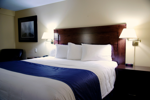Room-215-600x400 Room-215-600x400